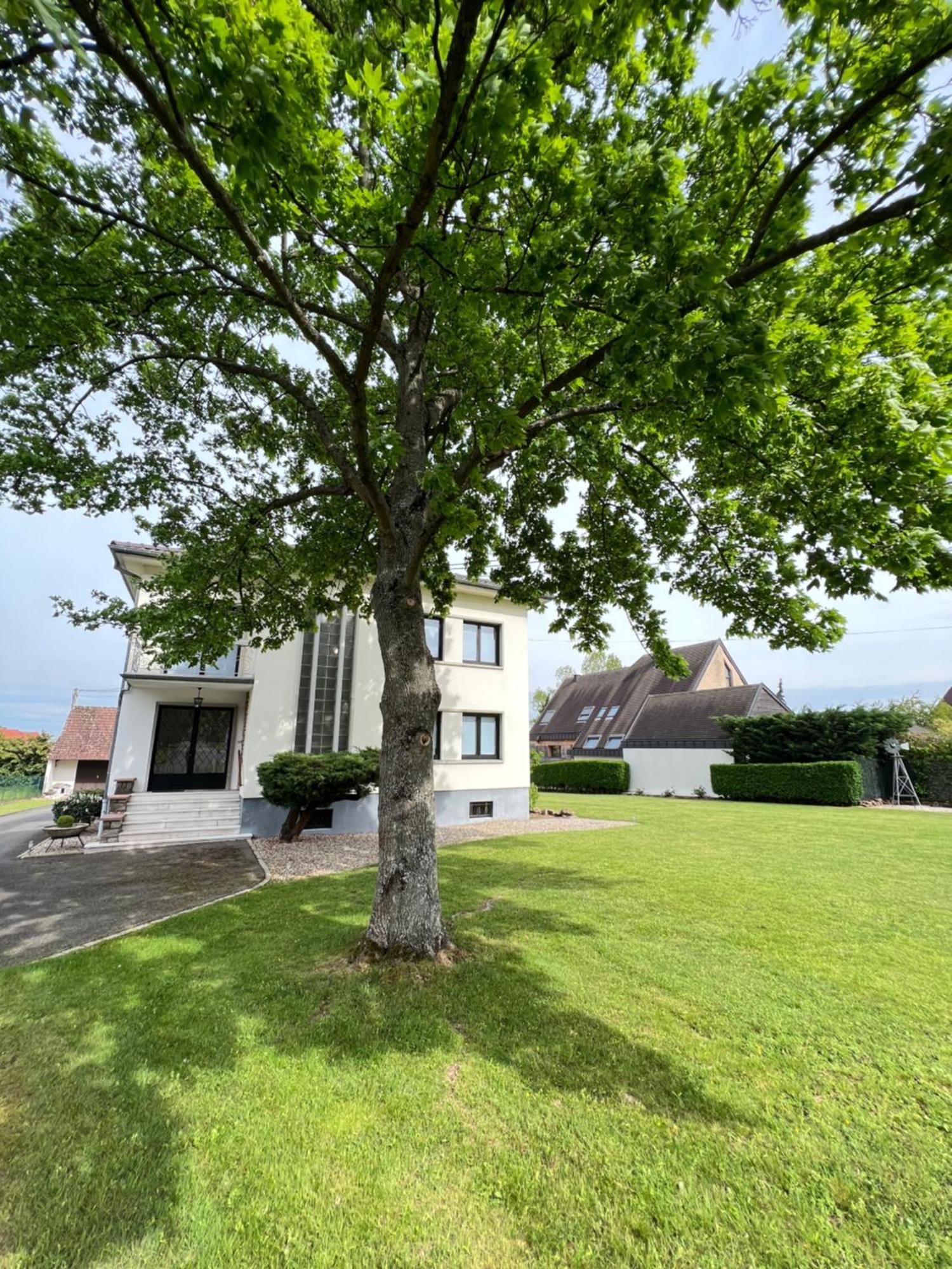 Bonne Idee - Suite Georges - Meuble De Tourisme 4 Etoiles Châtenois Exterior photo